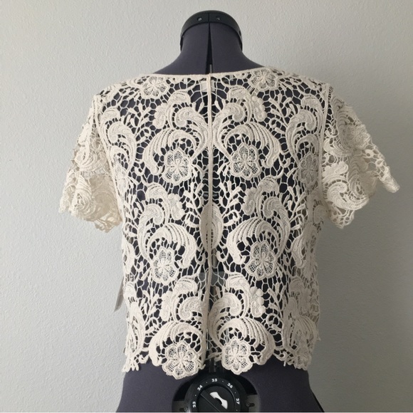 Beautiful Lace Cropped Top - Picture 2 of 4